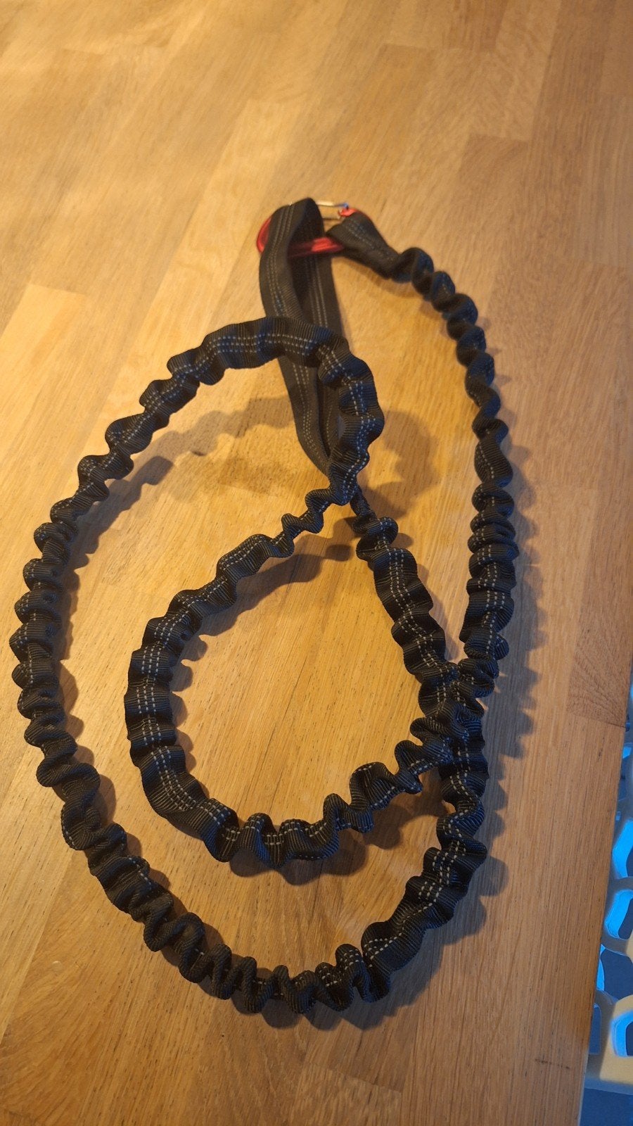 laisse amortisseuse / longe élastique de canicross, Animaux & Accessoires, Enlèvement, Utilisé