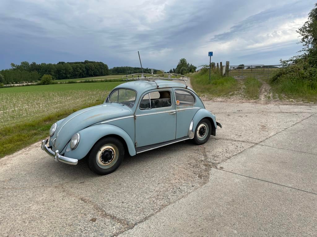 Vw ovaal kever, Auto's, Oldtimers, Volkswagen, Handgeschakeld, Particulier, 1200 cc