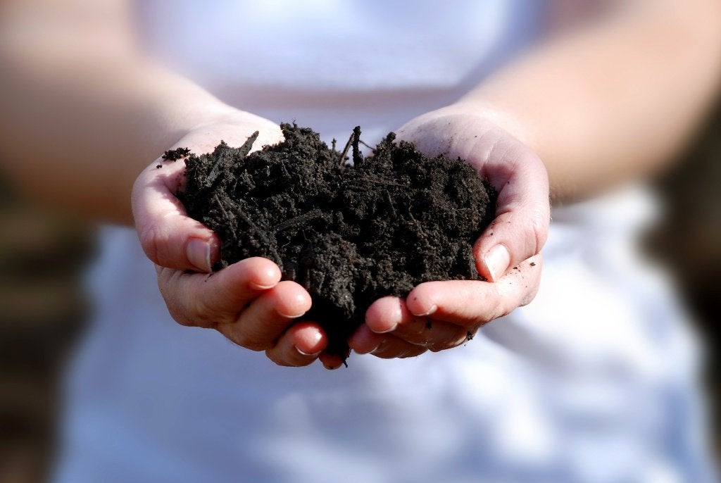 Compost - thuis geleverd en naar keuze ook gespreid in tuin, Verzenden, Compost