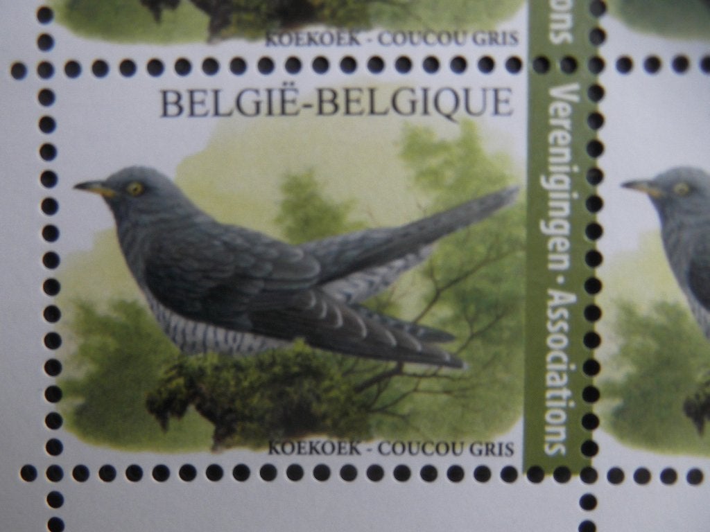 4991 Koekoek - Coucou gris MNH, Enlèvement ou Envoi, Non oblitéré