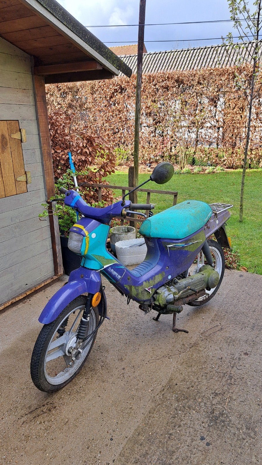 Honda Wallaroo schuurvondst, Fietsen en Brommers, Brommers | Honda, Ophalen, Gebruikt, Overige modellen, Klasse A (25 km/u)