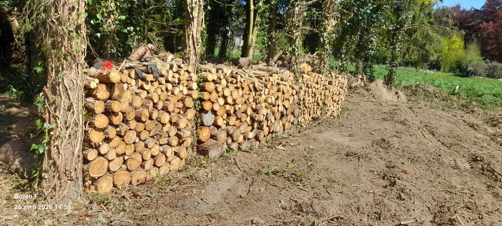 bois de chauffage, Enlèvement