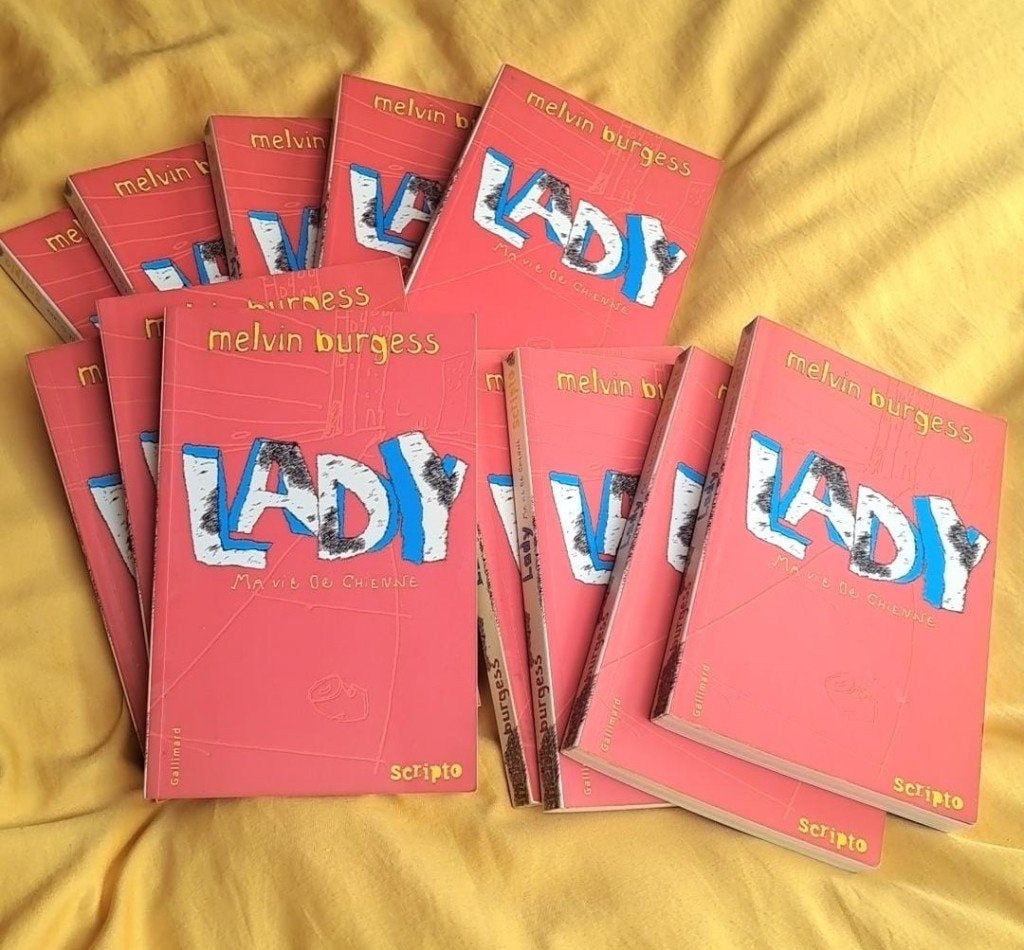 Lot 12 livres "Lady" - Idéal Profs/Animateurs (Wavre-LLN), Livres, Burgess Melvin, Fiction, Enlèvement, Utilisé