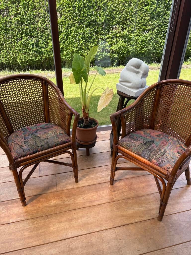 Rotan stoelen, Ophalen, Zo goed als nieuw, Rotan