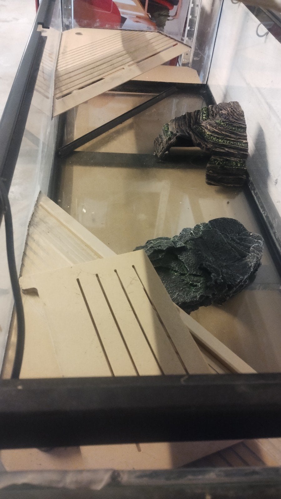 TerrAtlantis Schildpadbak Tortum 100 104x40x30 cm, Dieren en Toebehoren, Ophalen