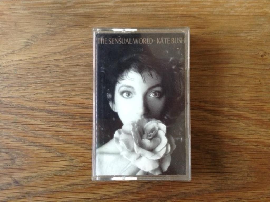 muziekcassette kate bush, Enlèvement ou Envoi, Rock en Metal, 1 cassette audio, Originale