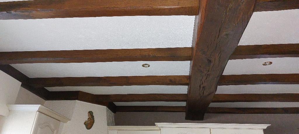 OP ZOEK naar plafond-crepiplaat, Doe-het-zelf en Bouw, Platen en Panelen, Ophalen, Zo goed als nieuw, Overige materialen