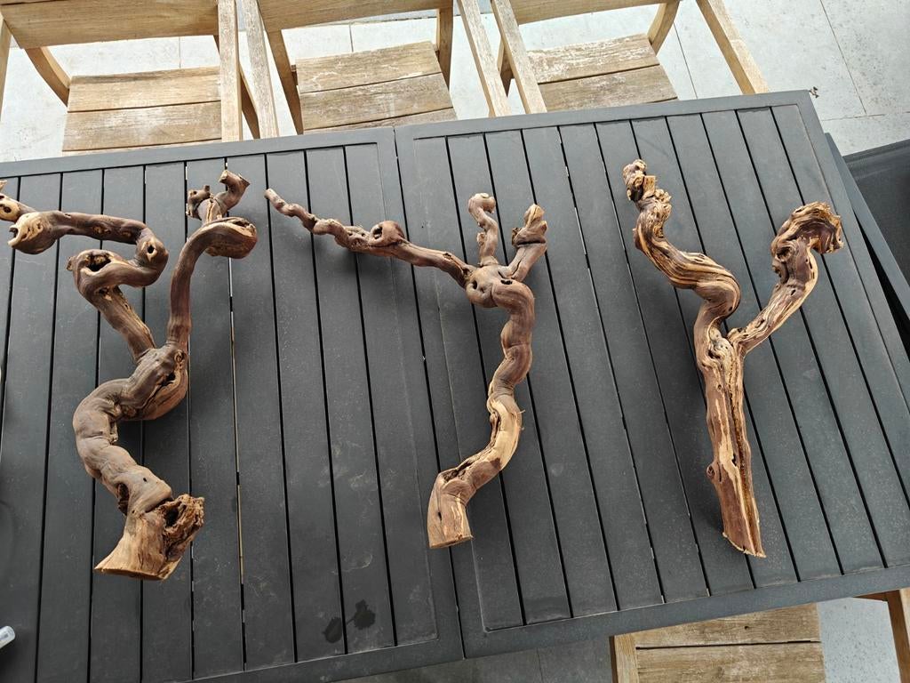 Decoratieve wijnranken druiventakken te koop, Ophalen of Verzenden