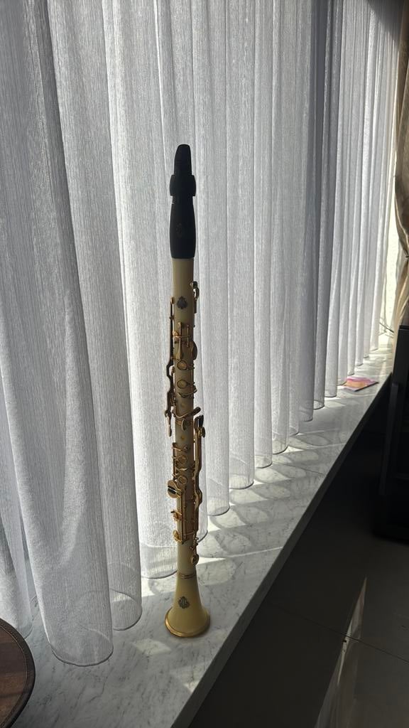 Clarinet G, Enlèvement ou Envoi