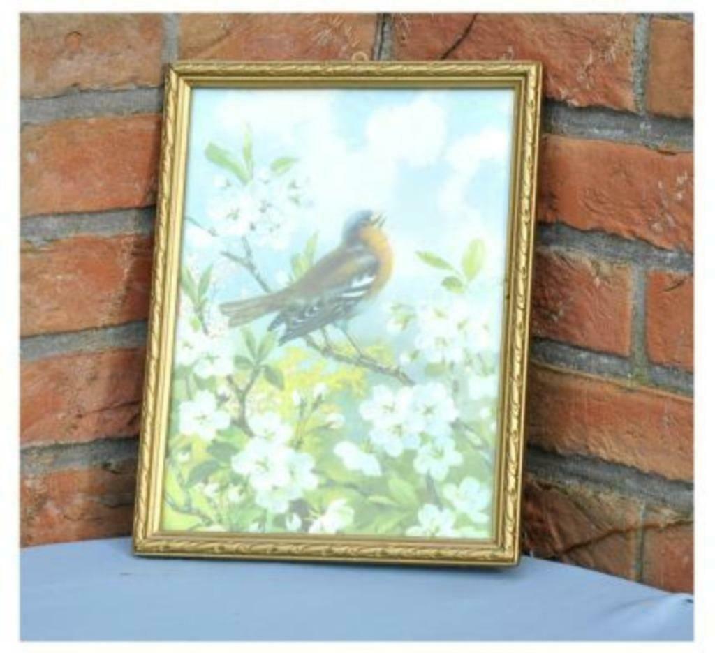 §cadre doré n°4 chromo oiseau, Antiquités & Art, Enlèvement ou Envoi