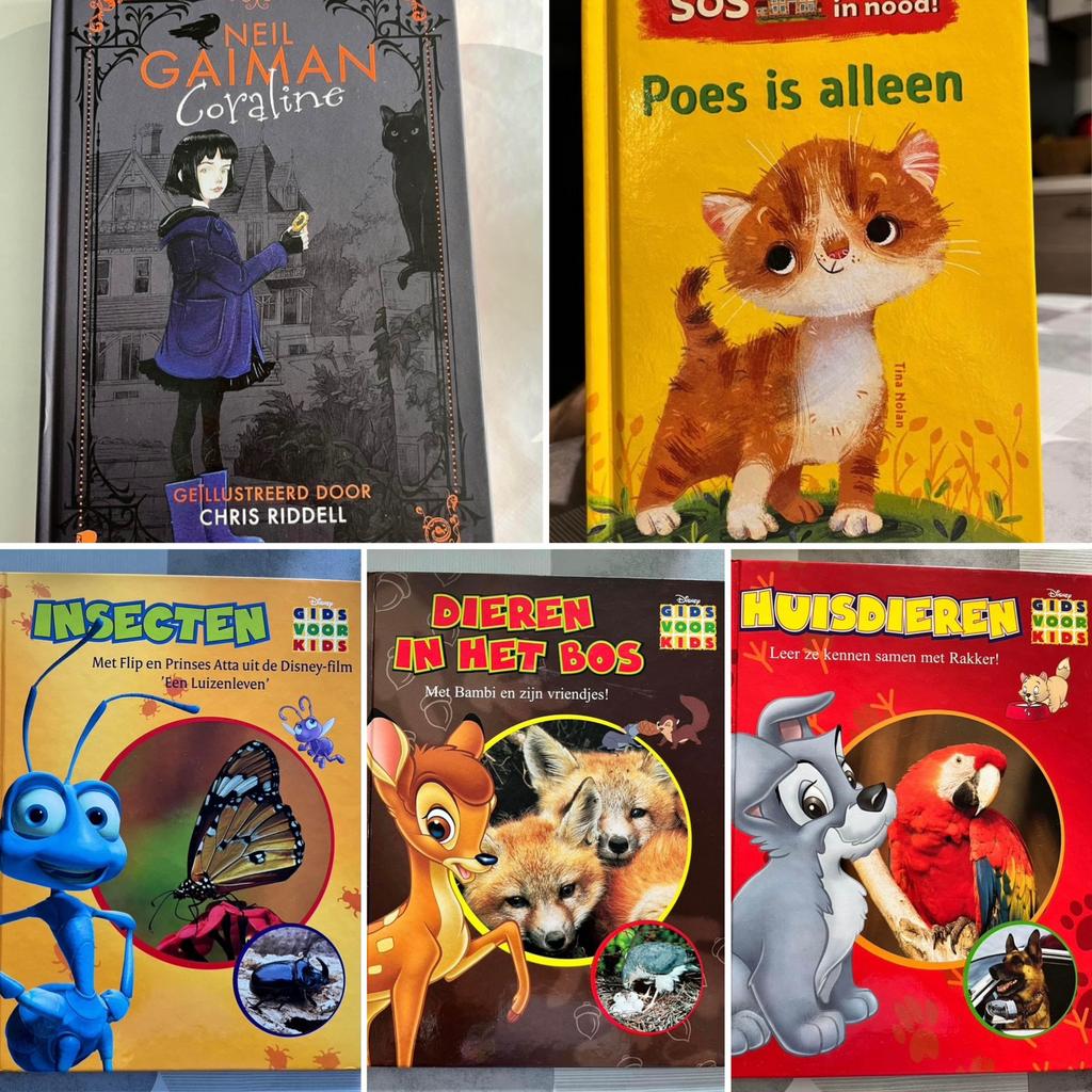 Jeugdboeken in goede staat, Livres, Livres pour enfants | Jeunesse | Moins de 10 ans, Enlèvement ou Envoi