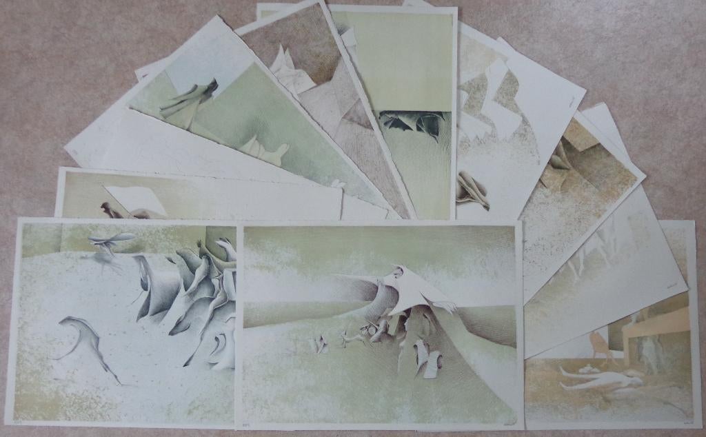 ALBERT DEBOIS / LOT VAN 11 STUKS / KLEURLITHO / 52x73cm SIG, Ophalen of Verzenden