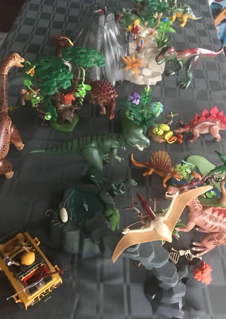 Playmobil 5019 Dino expeditie, Enfants & Bébés, Jouets | Playmobil, Comme neuf, Enlèvement