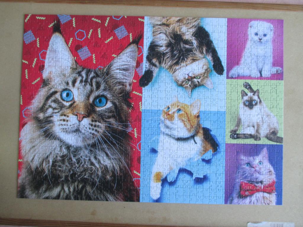 puzzel trefl 1000 katten + mat, Hobby en Vrije tijd, Ophalen of Verzenden, 500 t/m 1500 stukjes, Zo goed als nieuw, Legpuzzel
