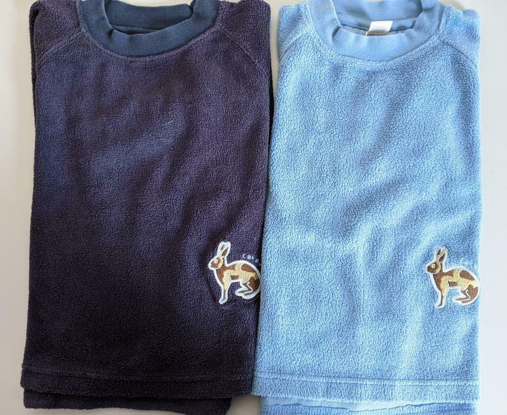 Manches longues en polaire bleu clair ou bleu foncé, Enfants & Bébés, Enlèvement ou Envoi, Utilisé, Cakewalk, Pull ou Veste