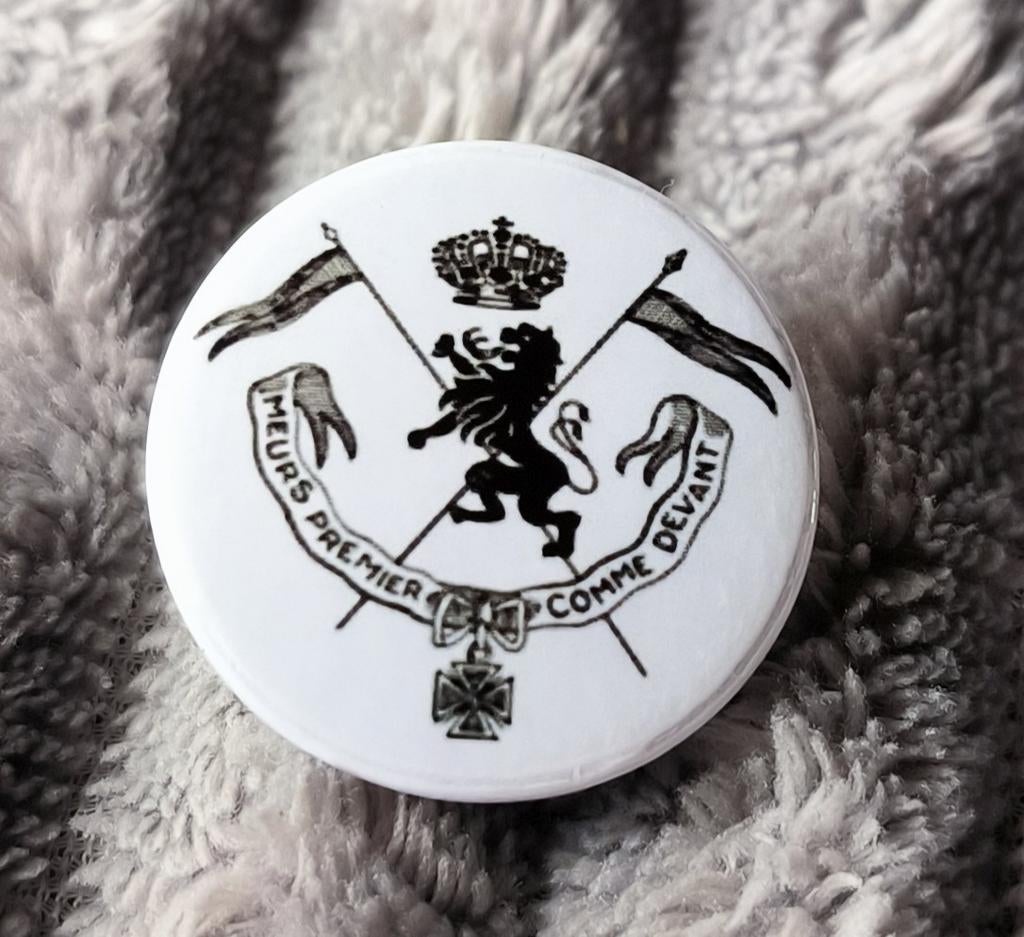 Pin (button) 2 Regiment Lansiers, Collections, Objets militaires | Général, Enlèvement ou Envoi