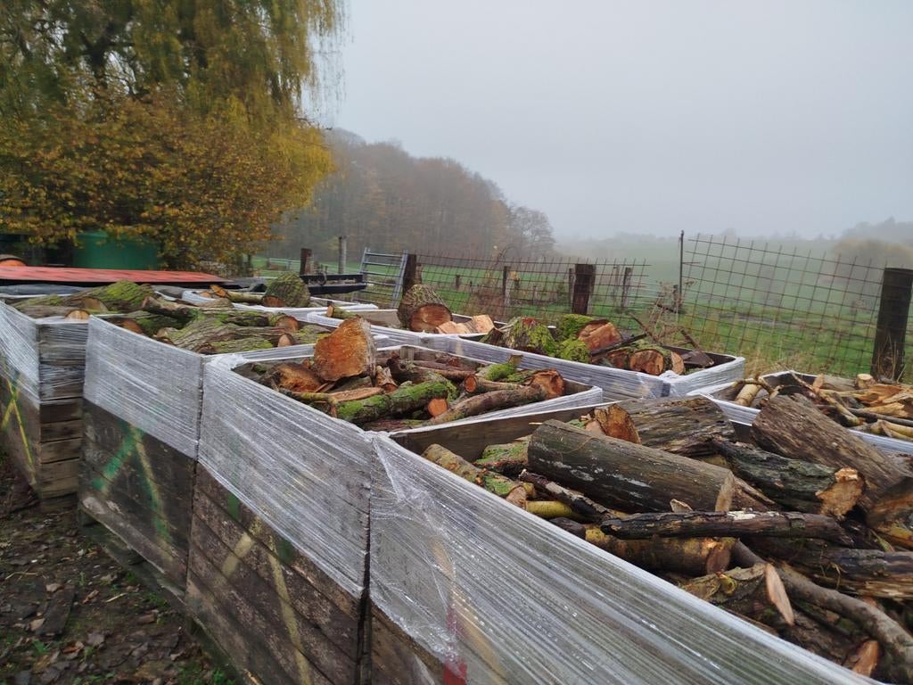 Bois de chauffage, Bricolage & Construction, Enlèvement, Bois