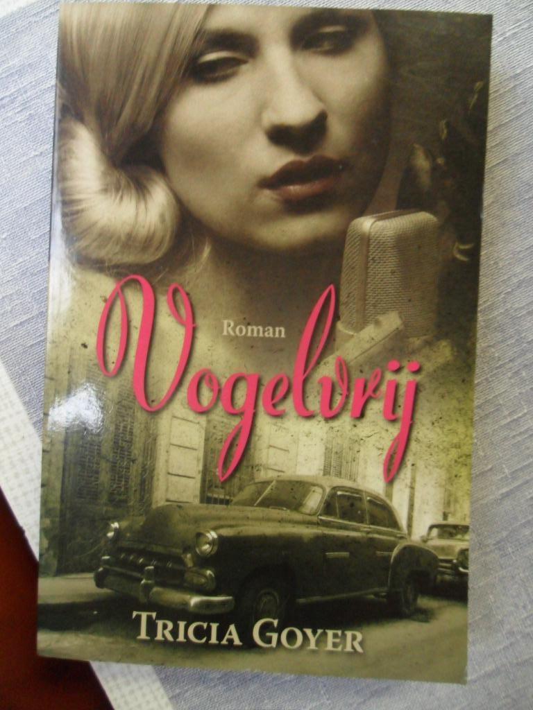 vogelvrij ( Tricia Goyer ), Boeken, Verzenden, Zo goed als nieuw