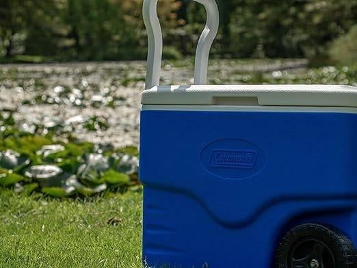 Harde koelbox | 37,5 l | GRATIS LEVERING, Verzenden, -, Nieuw, -