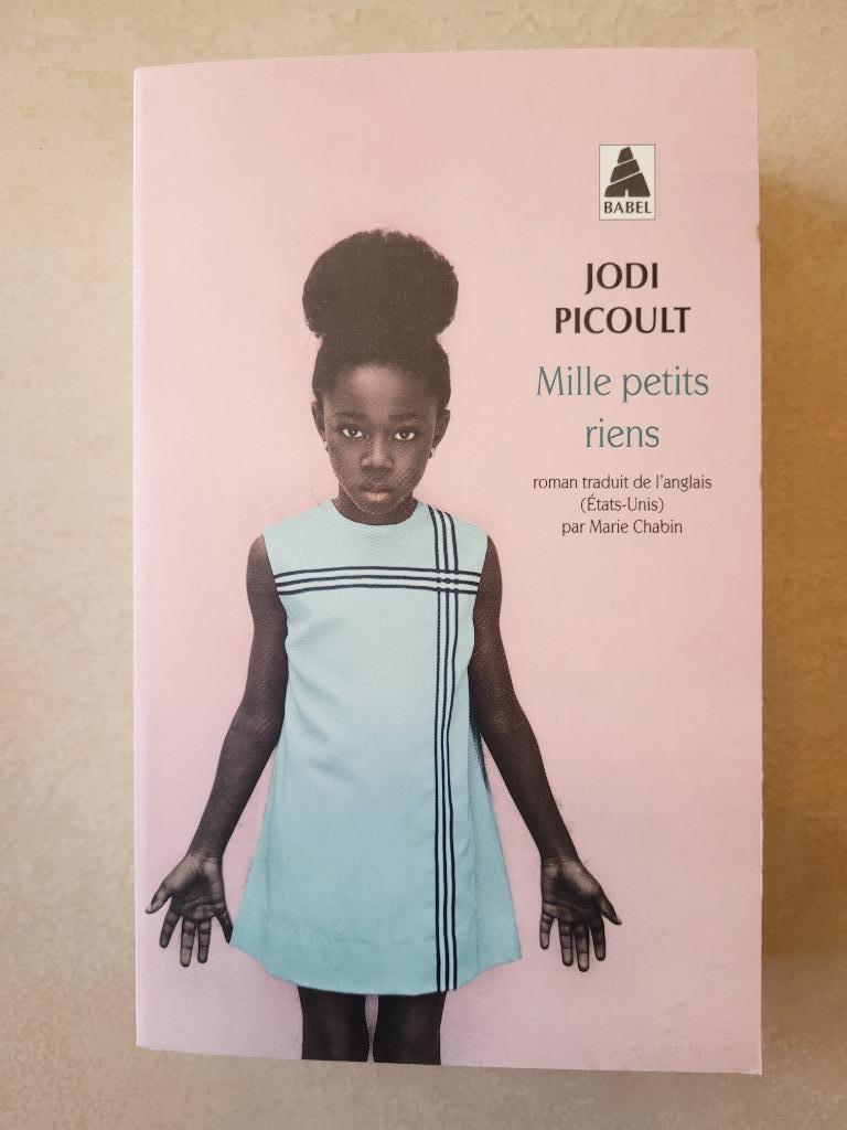 Mille petits riens - Jodi Picoult, Neuf, Jodi Picoult, Enlèvement ou Envoi, Amérique
