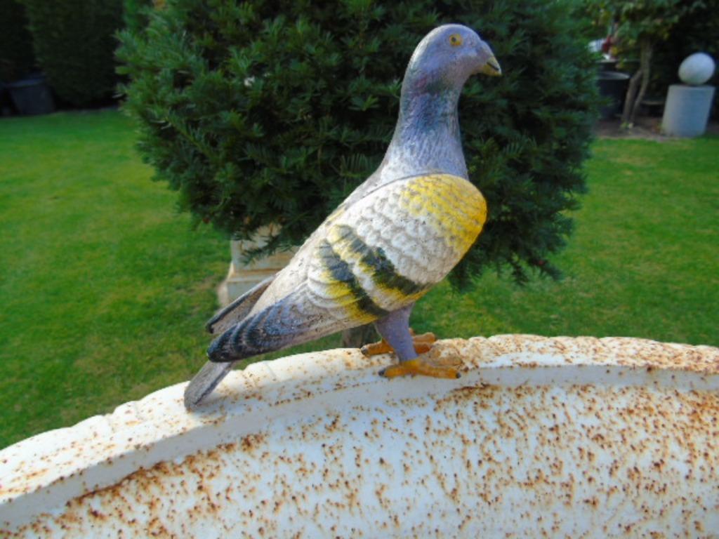 statue d un pigeon en fonte couleurs, Jardin & Terrasse, Décoration murale de jardin, Neuf, Enlèvement