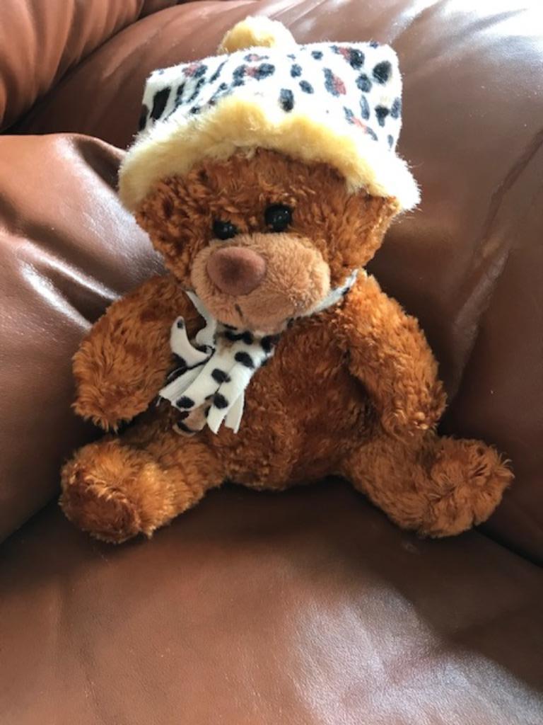 Nieuwe wasbare knuffel "Beer" (zn5529), Ophalen of Verzenden, Nieuw, Beer