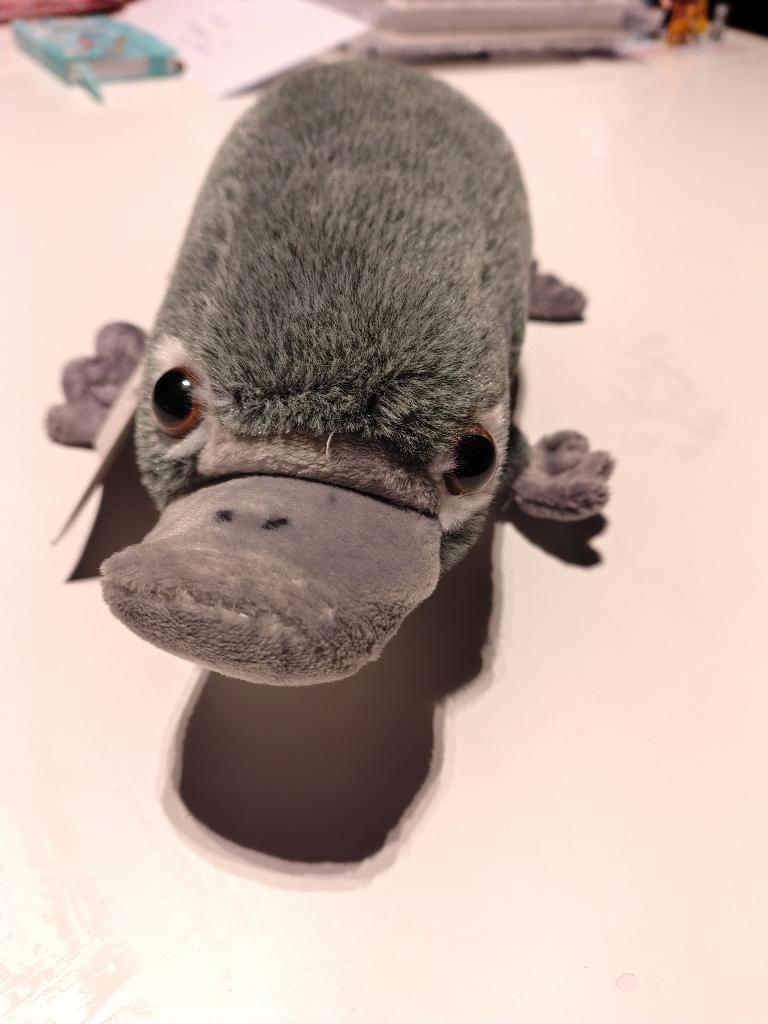 knuffel vogelbekdier nieuw valentijn, Ophalen of Verzenden, Nieuw, Overige typen, Overige merken