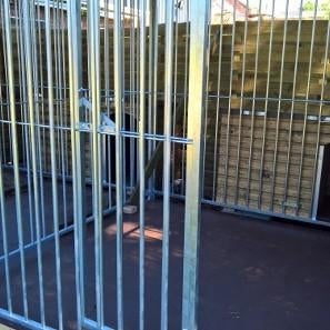 Hondenren te koop voor drie honden, Ophalen