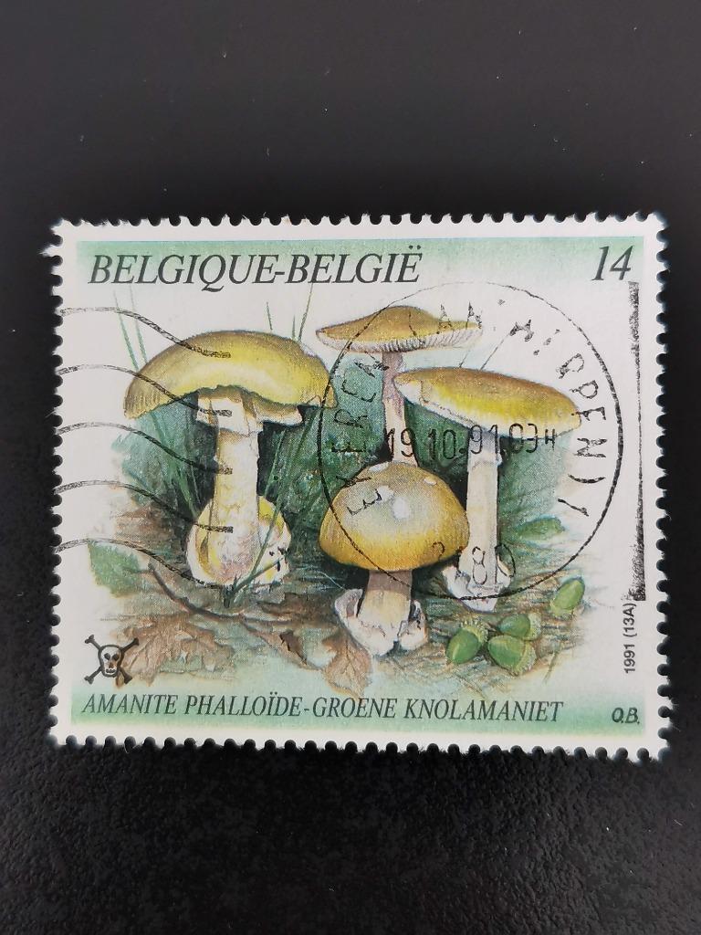 Belgique 1991 - champignons - Amanite phalloide, Enlèvement ou Envoi, Affranchi