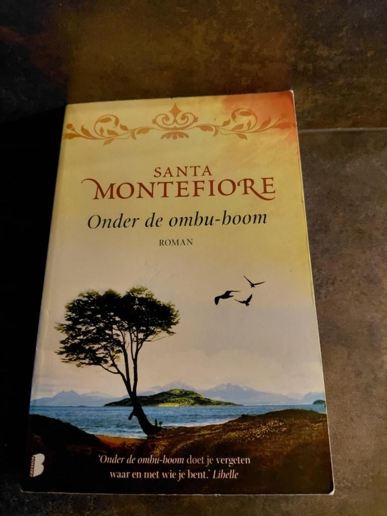 Onder de ombu - boom, Boeken, Ophalen, Zo goed als nieuw, Santa Montefiore