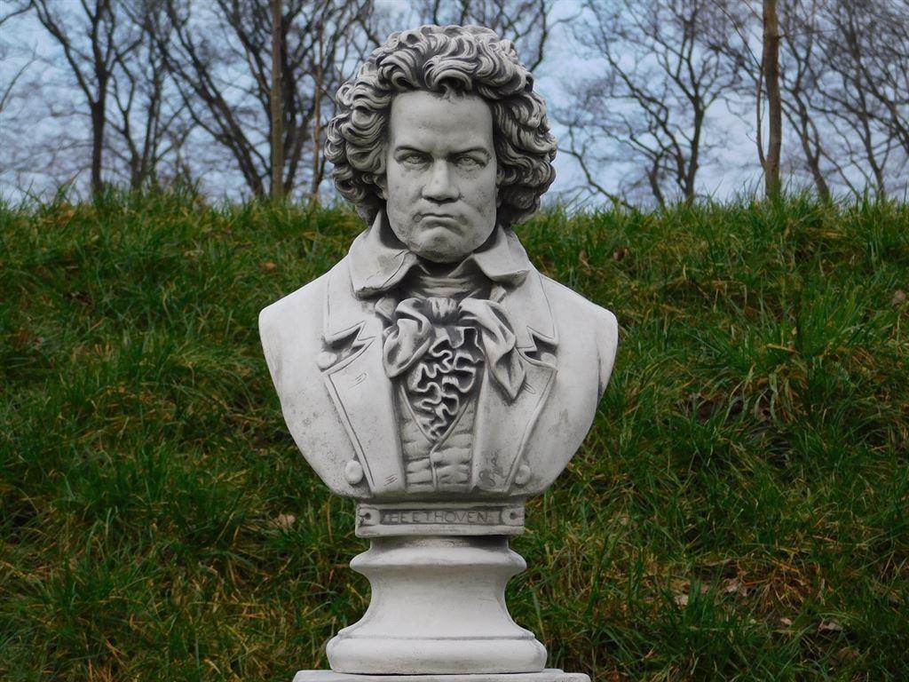 klassiek beeld van beethoven , tuinbeeld, Ophalen of Verzenden, Nieuw, Steen