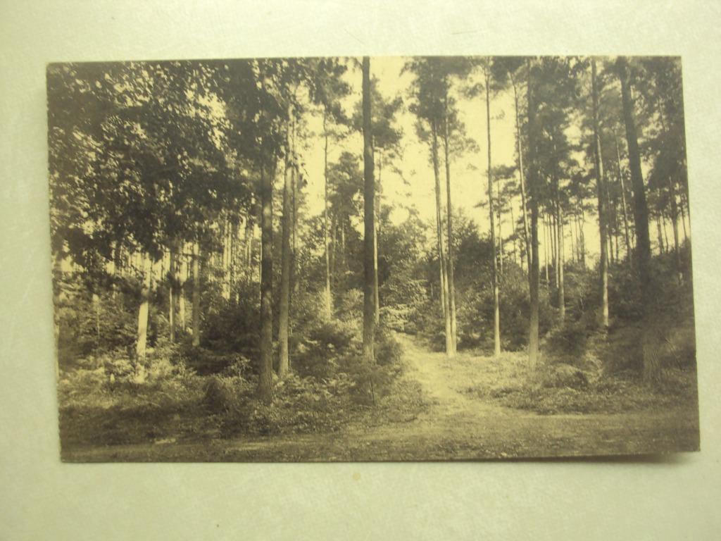 48910 - WATERLOO - SANATORIUM LES PINS - ZIE 2 FOTO'S, Verzenden