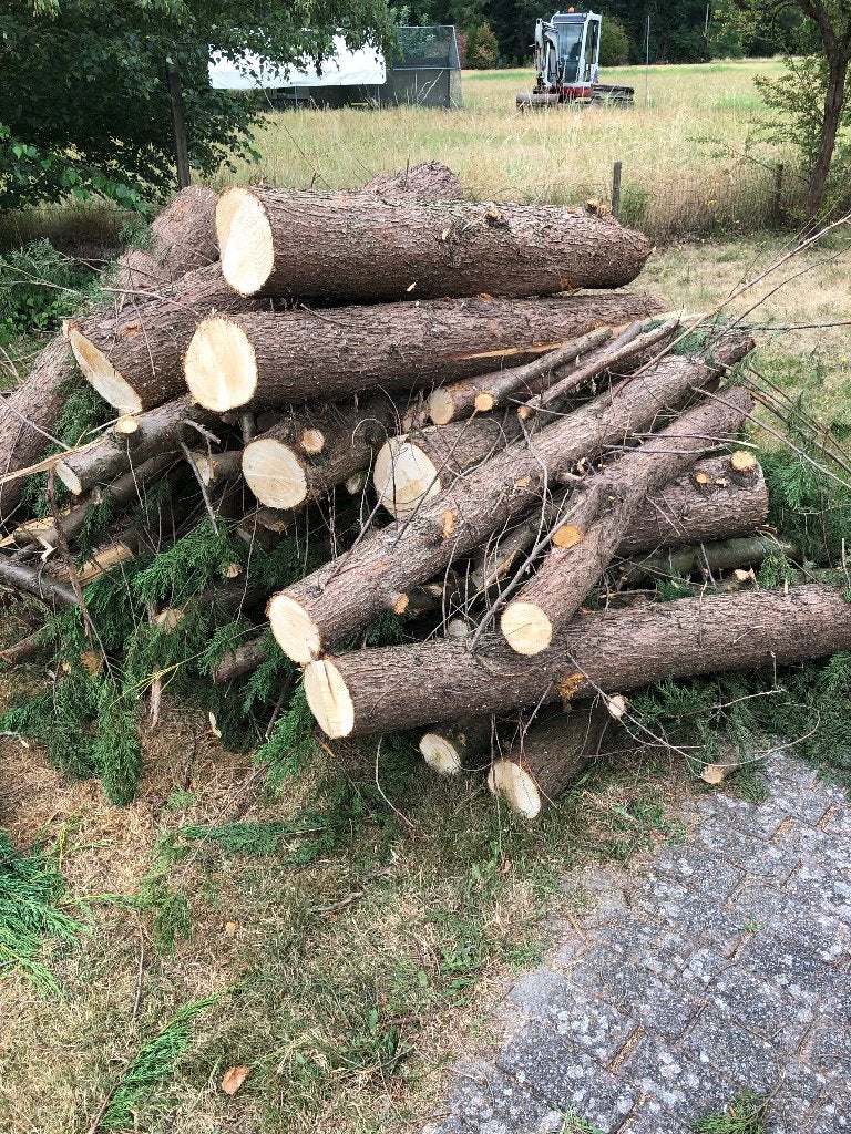 gratis hout ,dringend en meer dan op de fotos te zien, Tuin en Terras, Brandhout, 3 tot 6 m³, Ophalen, Overige houtsoorten, Stammen