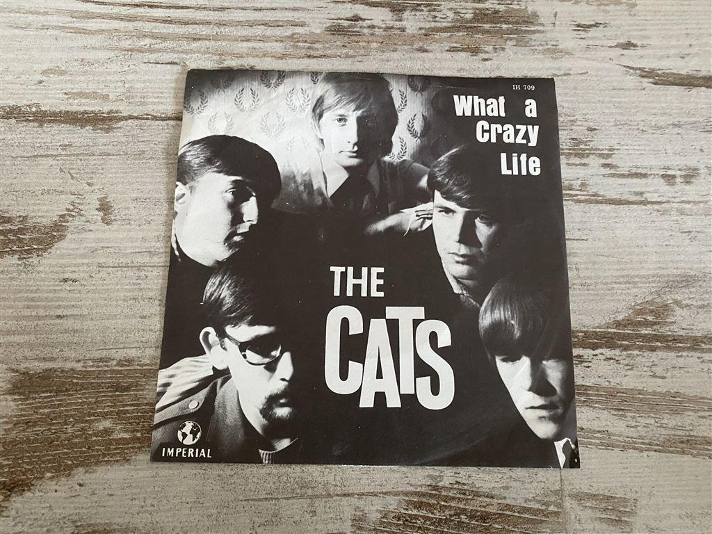 The cats - what a crazy life singles [1409], Cd's en Dvd's, Vinyl Singles, Verzenden, Zo goed als nieuw
