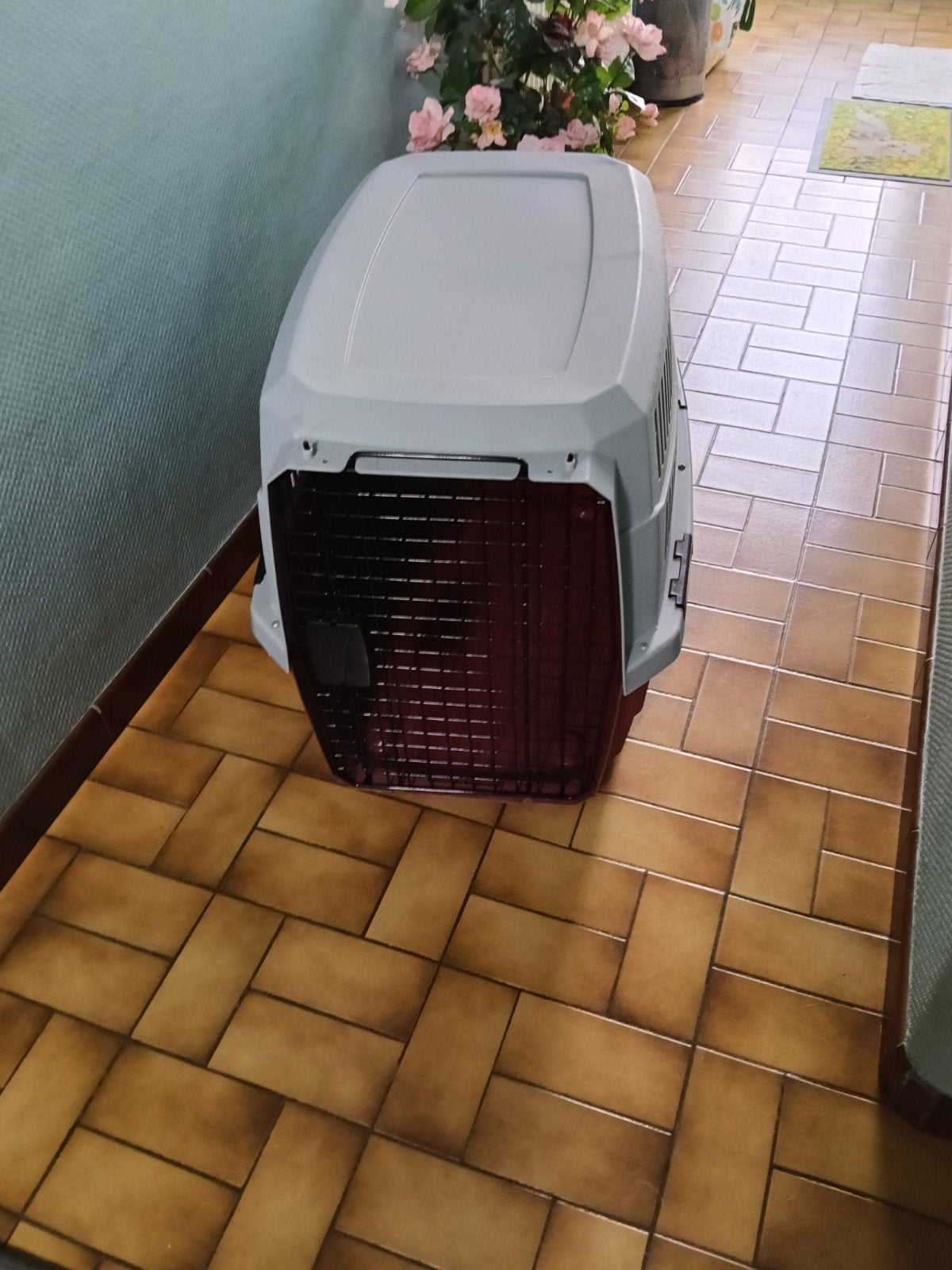 Transport box of bench honden, Dieren en Toebehoren, Hondenbenches, Ophalen of Verzenden