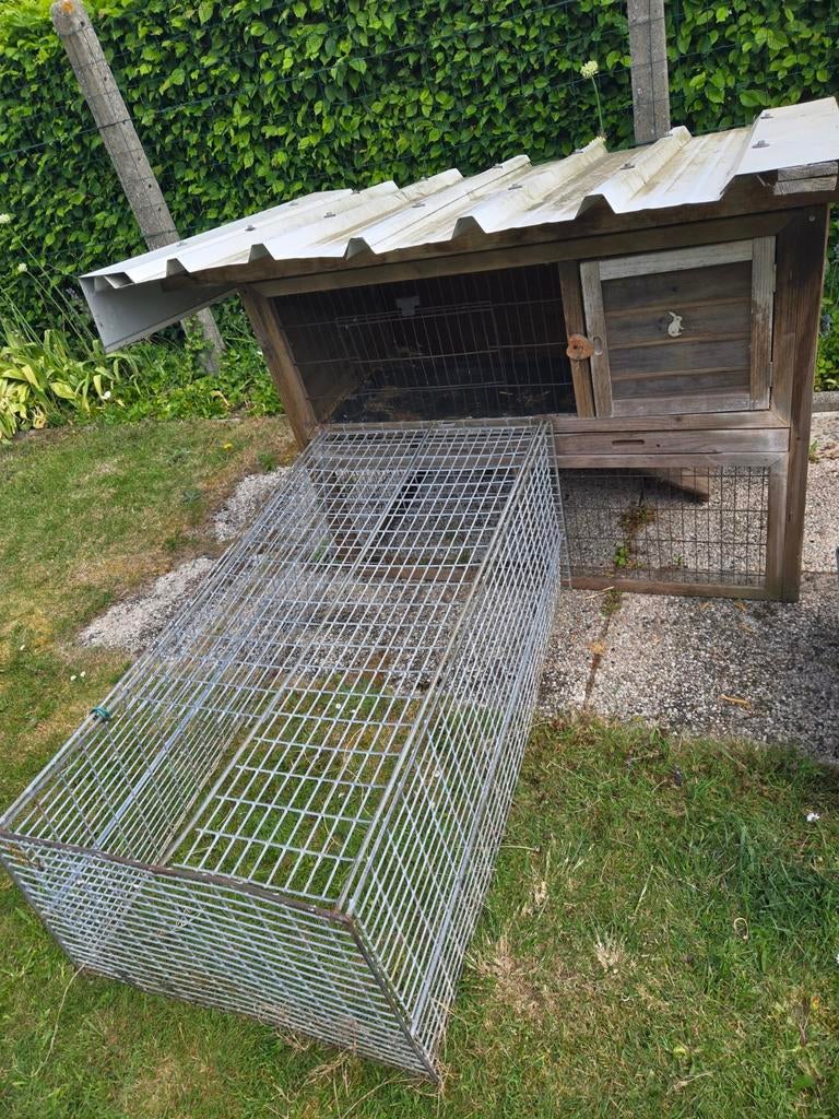 Konijnenhokken, Dieren en Toebehoren, Ophalen