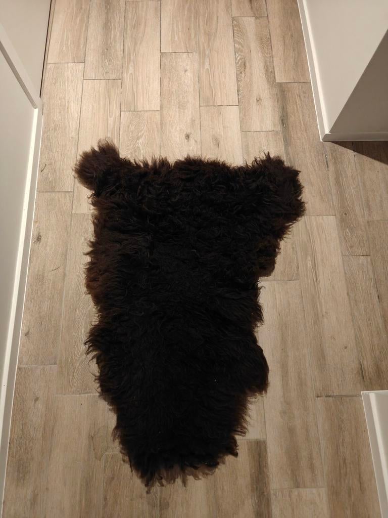 Tapis en peau de mouton, Enlèvement