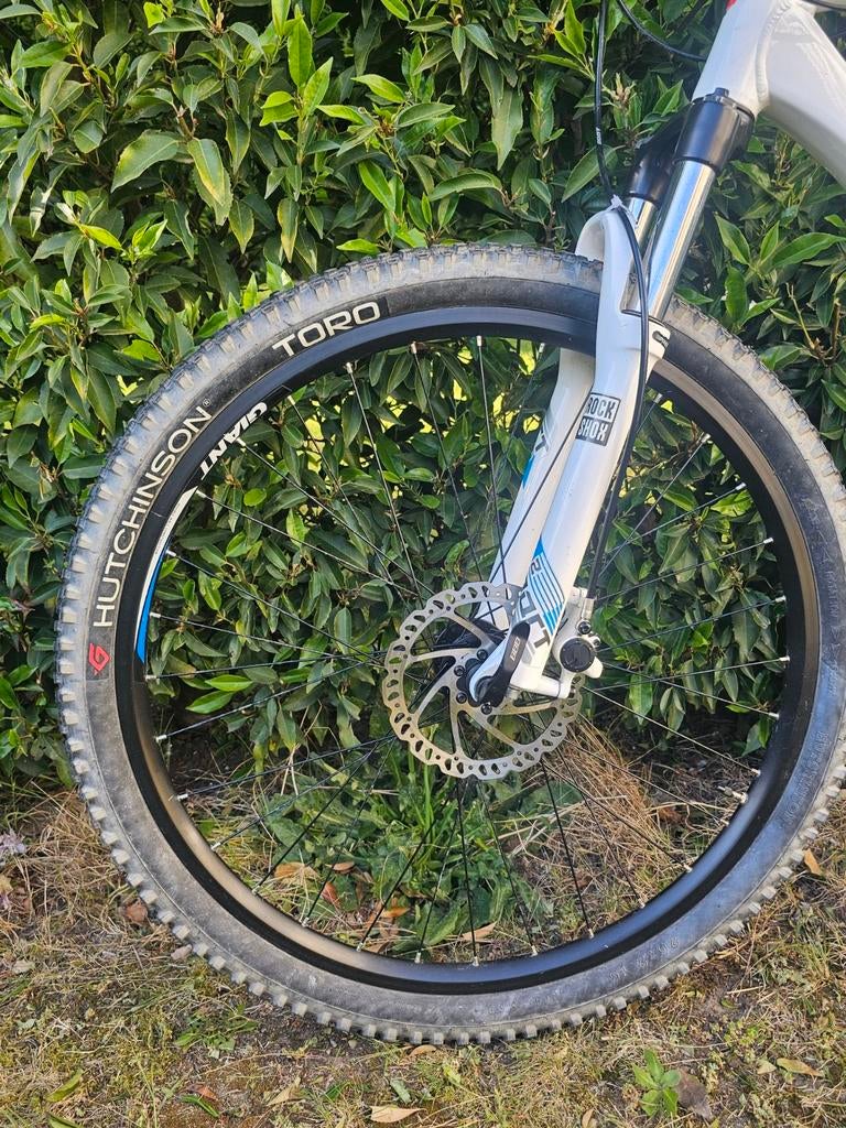 Mountainbike Giant, zo goed als nieuw, Vélos & Vélomoteurs, Vélos | VTT & Mountainbikes, Comme neuf, Hommes, Giant, 49 à 53 cm