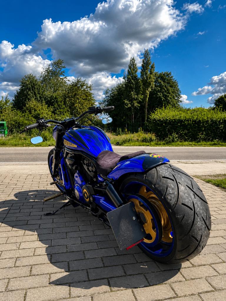 Harley V-Rod Porsche Custom by Cult-Werk, Permis Moto A, Occasion, Plus de 35 kW, Chopper