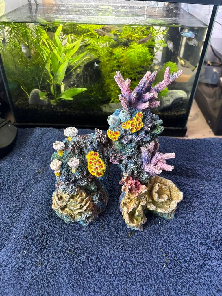 Kleurrijk Aquarium Decoratie, Ophalen of Verzenden, Zo goed als nieuw, Decoratie