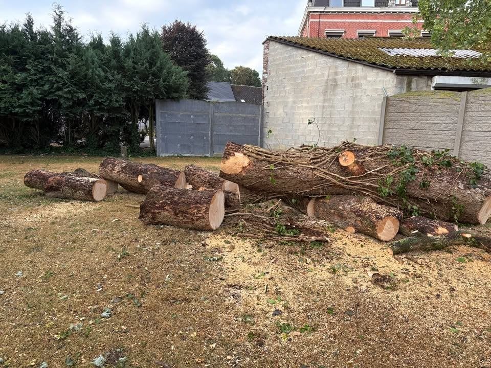 Bois a vendre a Boussu, Jardin & Terrasse, Bois de chauffage, Enlèvement, Autres essences de bois, Bûches
