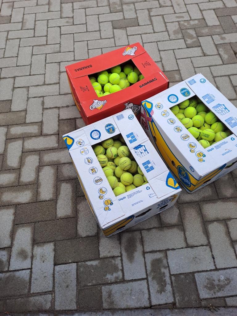 100 balles de tennis entrainement et/ou chien, Enlèvement ou Envoi, Utilisé, Jouets à rammener