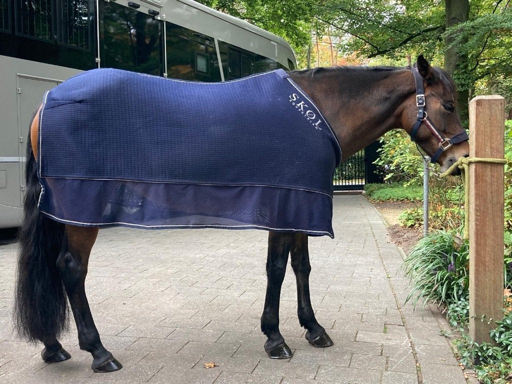 Skøl cooler deken voor D pony, Bleu, Couverture, Comme neuf, Autres marques