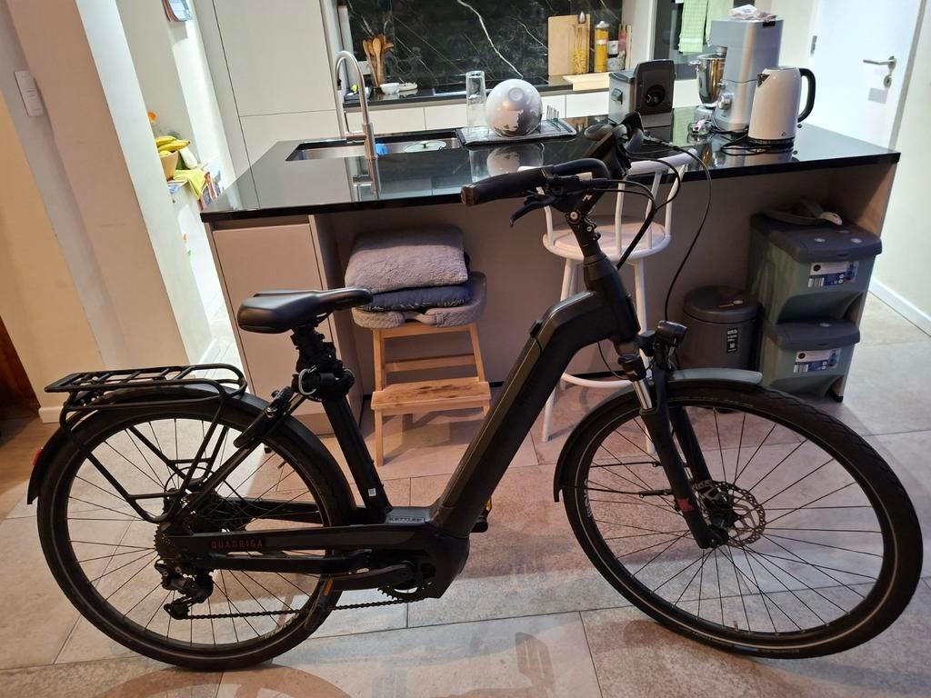 Elektrische fiets merk KETTLER in perfechte staat, Ophalen