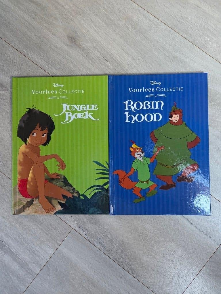 Boek disney 2 stuks, Ophalen, Zo goed als nieuw