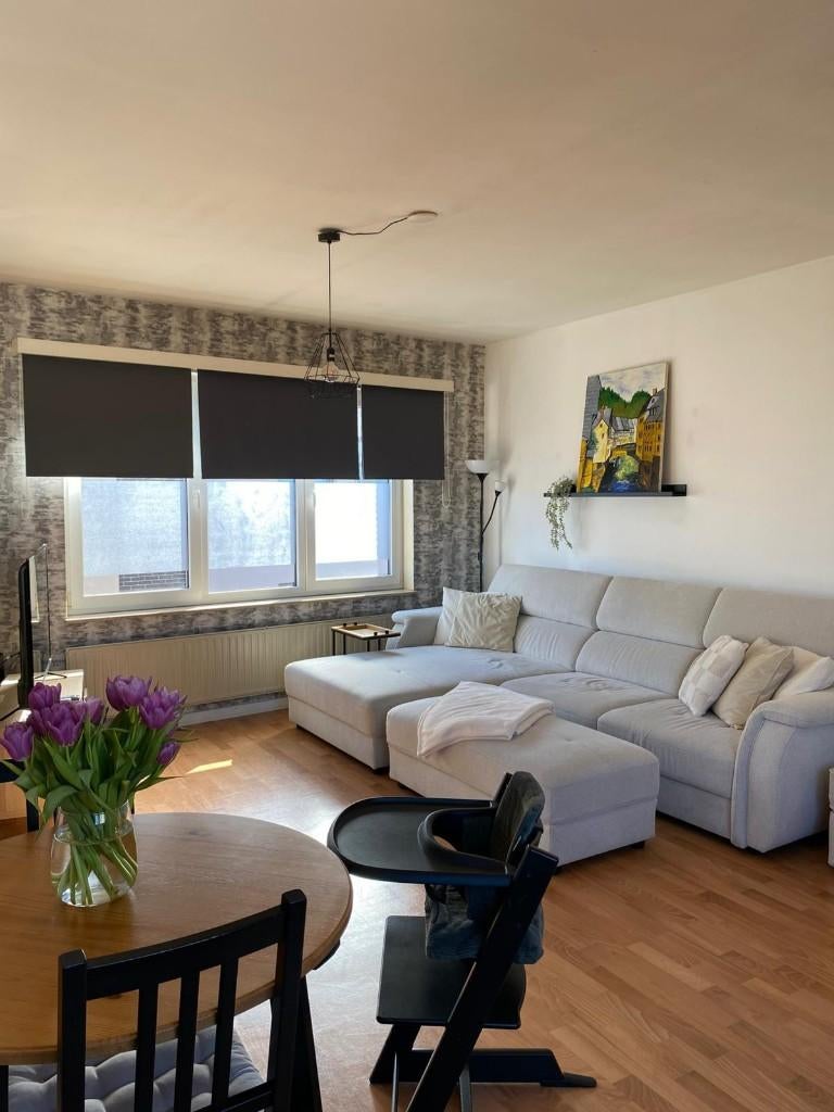 appartement te huur, 50 m² of meer, Hasselt