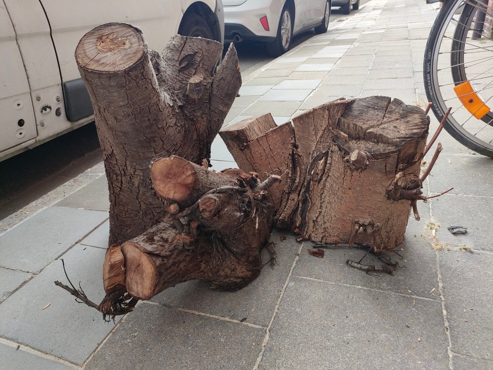 GRATIS: brandhout of decoratiehout, Jardin & Terrasse, Bois de chauffage, Enlèvement
