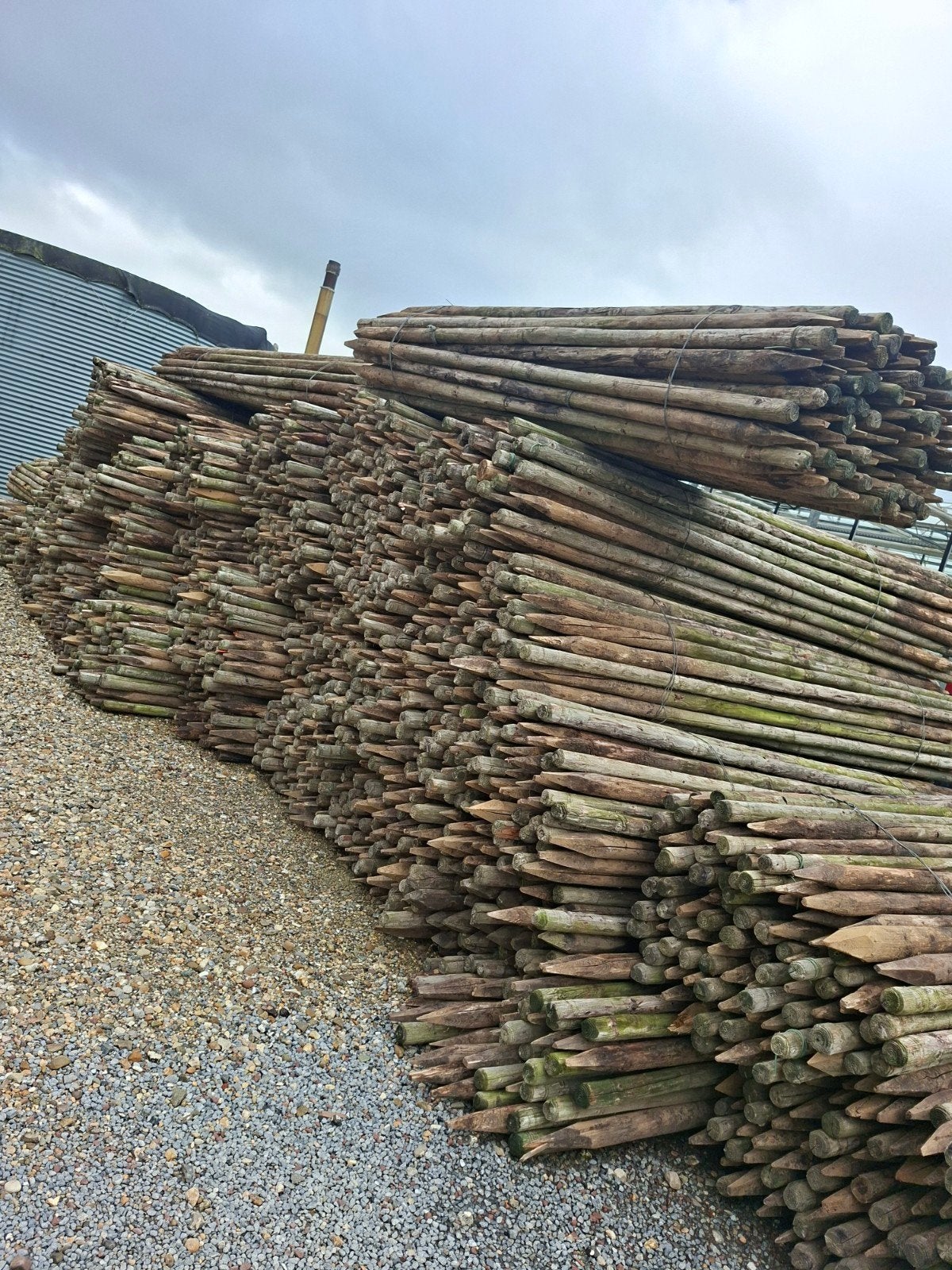 3 meter lang 7 dik 200 euro per pak van 100 stuks, Ophalen