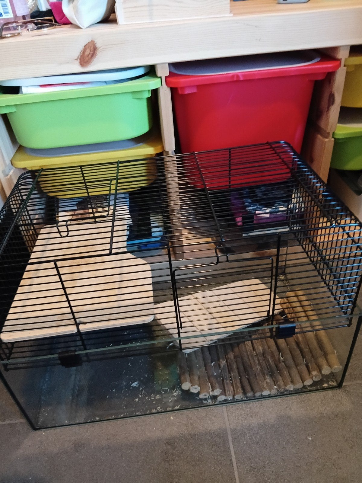 hamsterkooi, Ophalen