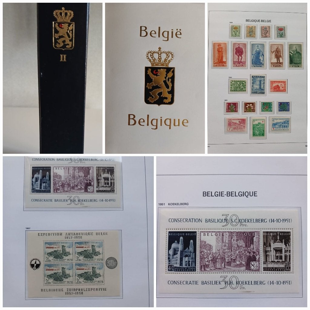 Album timbres-poste Belgique DAVO II complet /1949 à 1969, Enlèvement ou Envoi